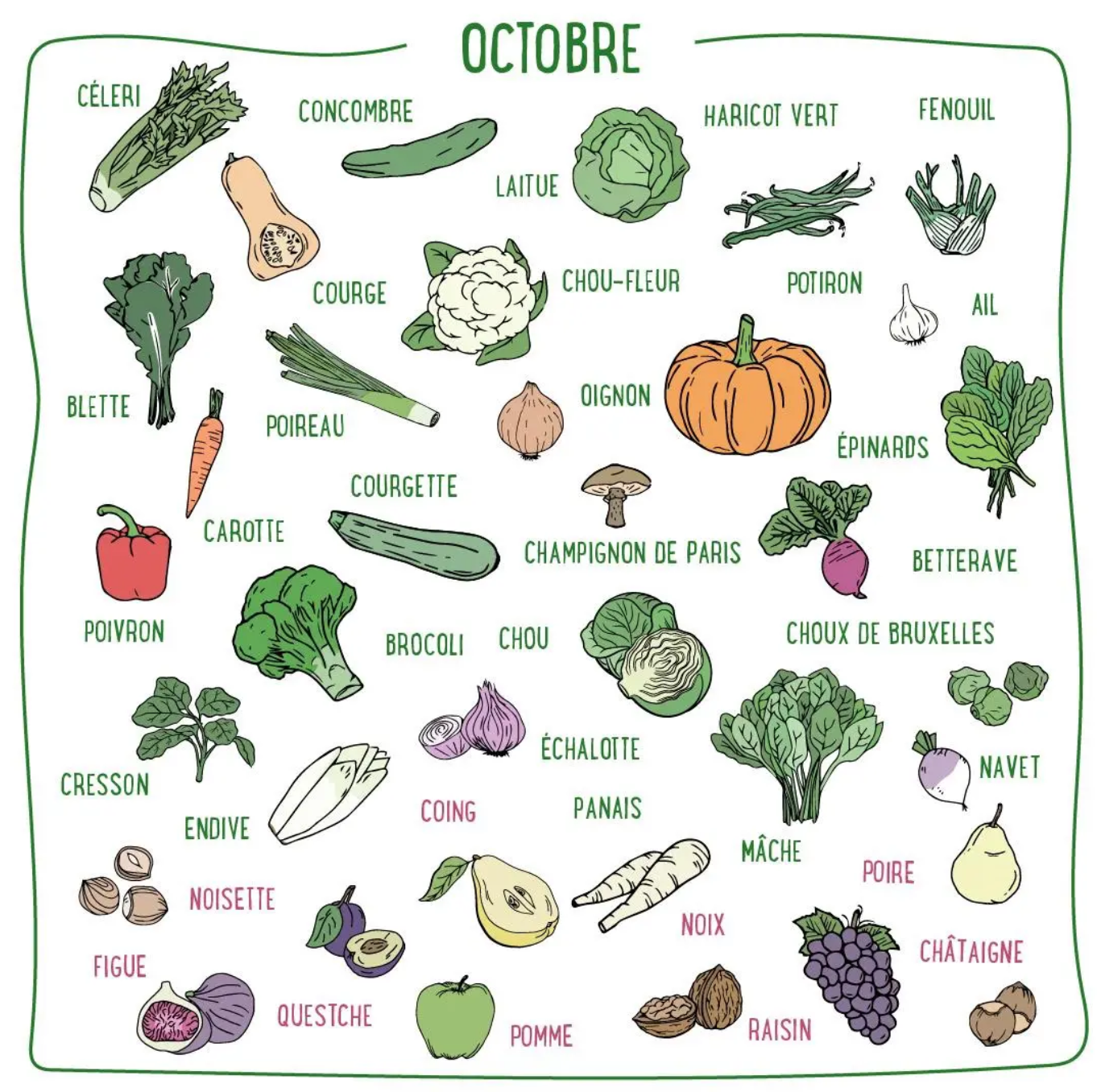 fruits légumes octobre